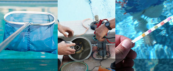 ss_service Clear View Pools Services
